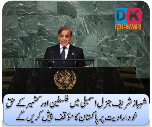 شہباز شریف جنرل اسمبلی میں فلسطین اور کشمیر کے حقِ خود ارادیت پر پاکستان کا مؤقف پیش کریں گے